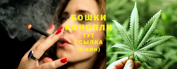 прущий лед Нея