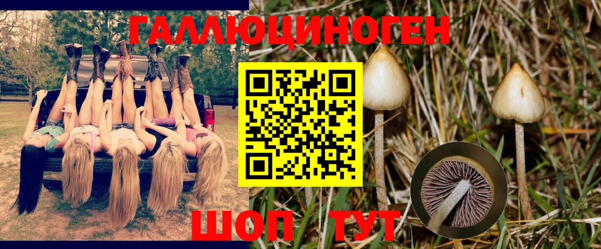 Галлюциногенные грибы Cubensis  Вход с VPN  Кореновск  Псилоцибиновые грибы MAGIC MUSHROOMS 